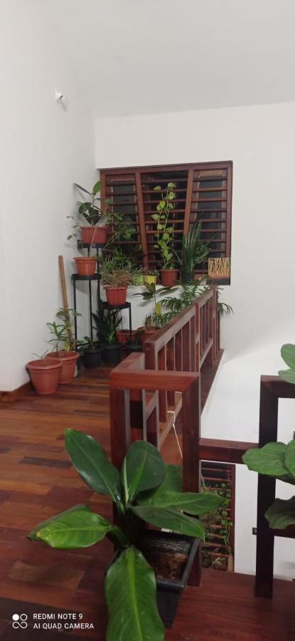 Shruthi'S Aarohi-Nature'S Retreat Mulappilangād Eksteriør billede