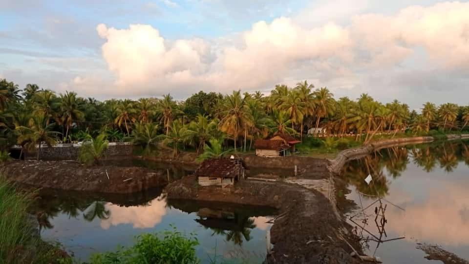 Shruthi'S Aarohi-Nature'S Retreat Mulappilangād Eksteriør billede