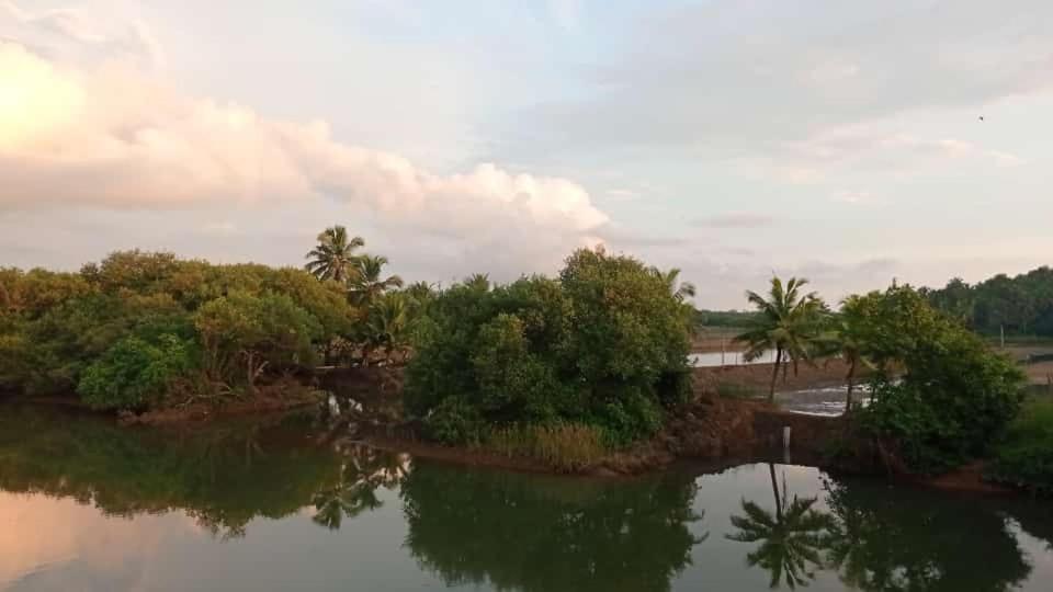 Shruthi'S Aarohi-Nature'S Retreat Mulappilangād Eksteriør billede